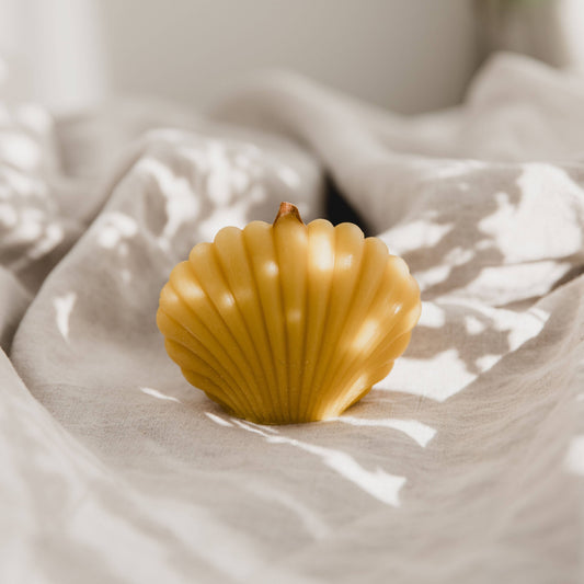 Clam Shell | Lightly Scented Beeswax Candle