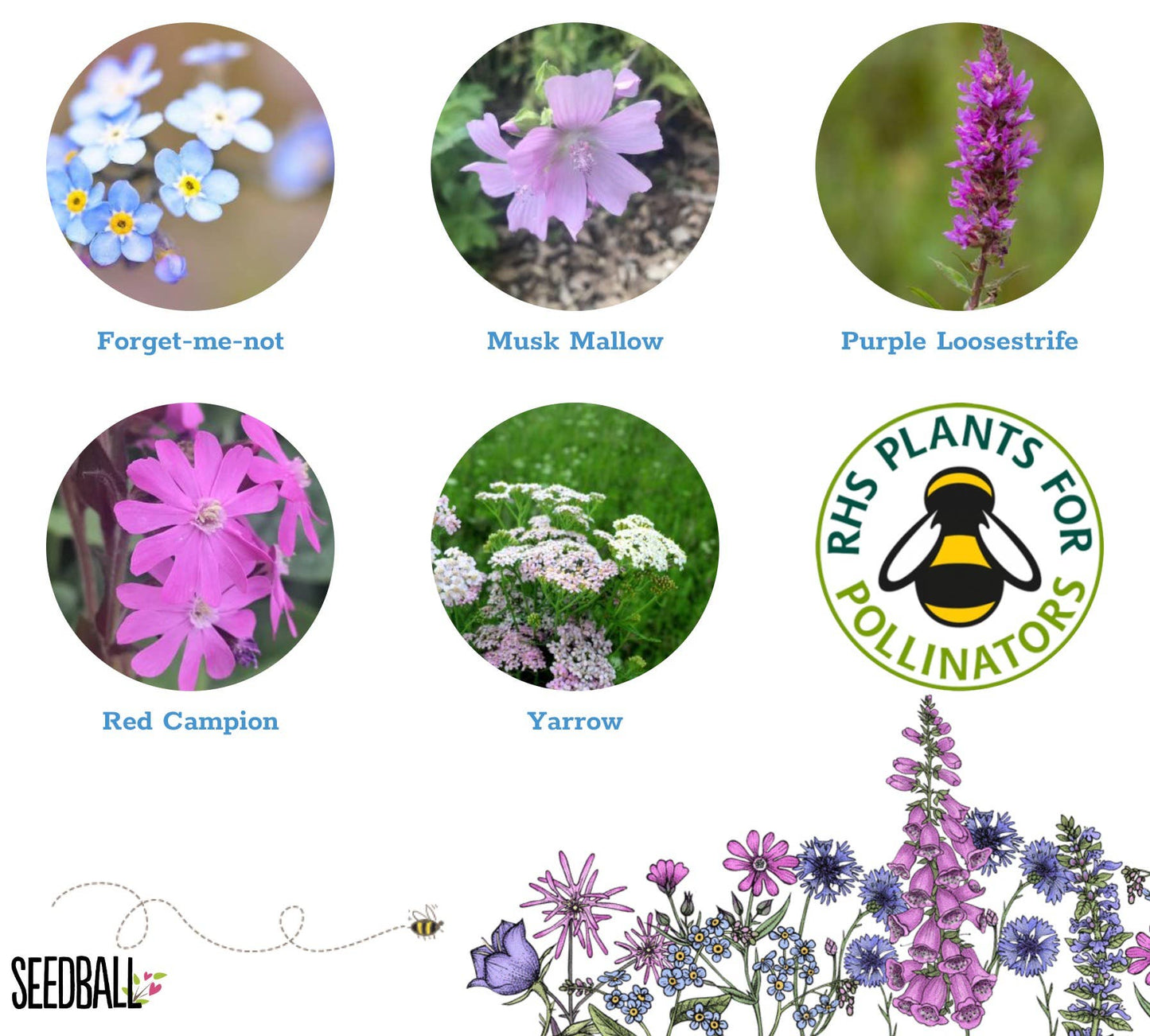 Butterfly Mix Seedball Tin