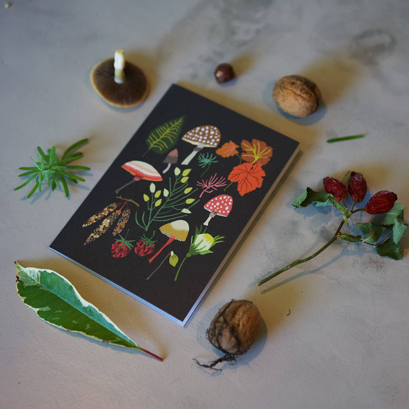 Mushrooms & Moss Greetings Card - Wholesale bundle of 6