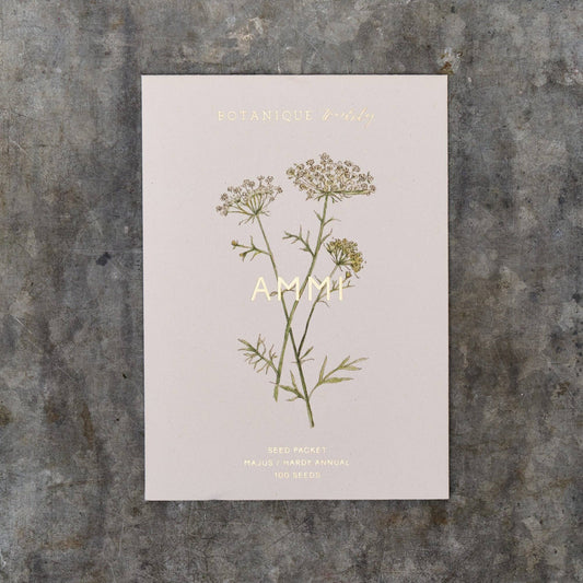 Ammi Majus Seed Packet