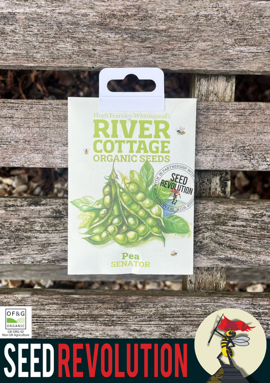 Organic Pea Senator Vegetable Seed - River Cottage