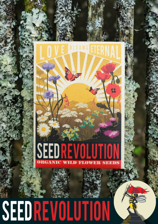 Wildflower Seed Packets - Love Blooms Eternal