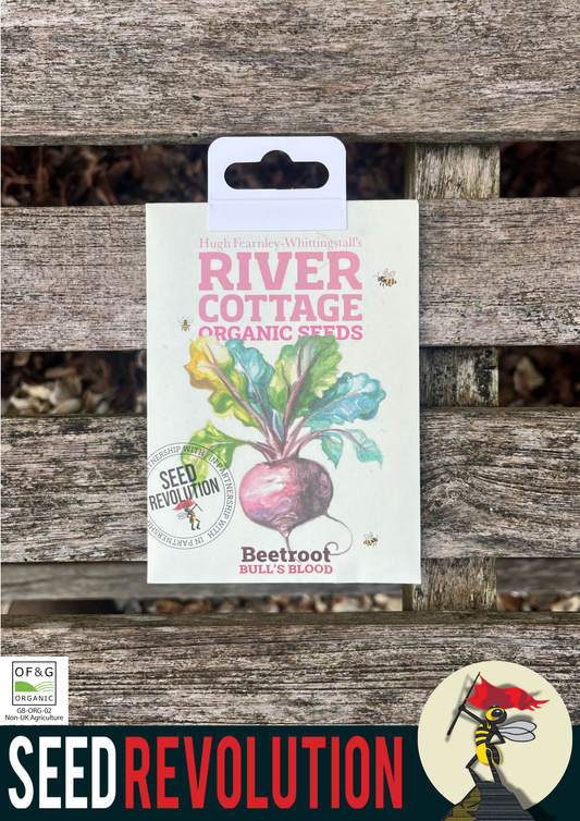 Organic Beetroot Bull's Blood Vegetable Seed - River Cottage