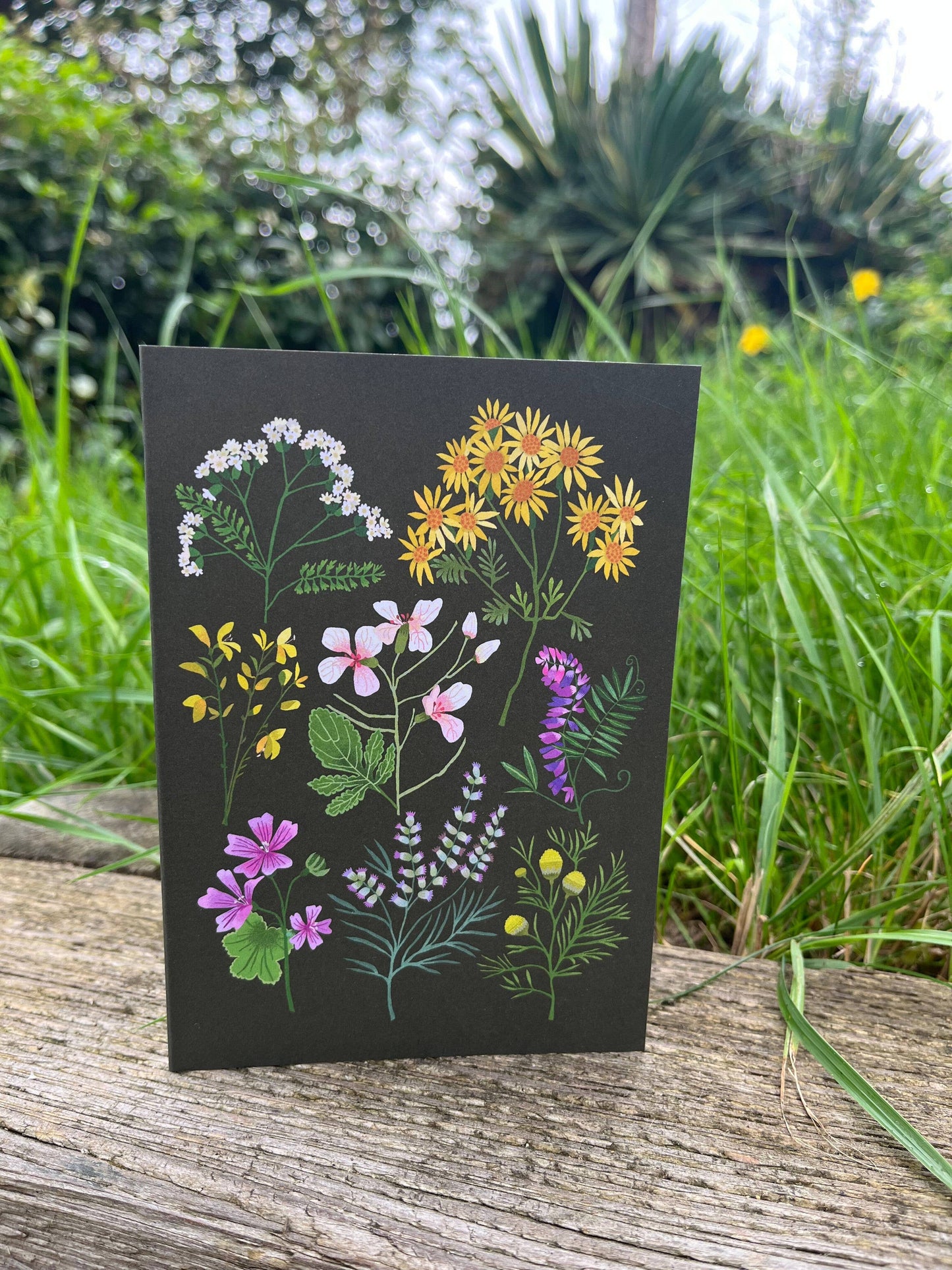 A Walk at Snape Maltings Greetings Card - WHS bundle of 6