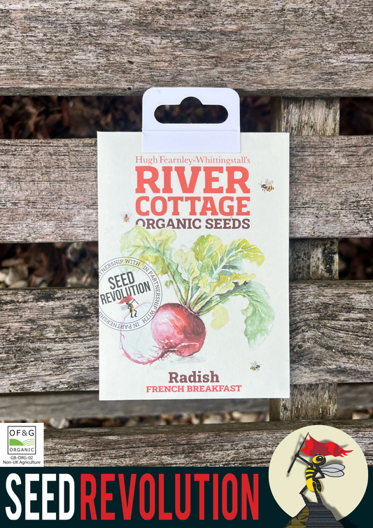 Organic Radish French Breakfast Veg Seed - River Cottage