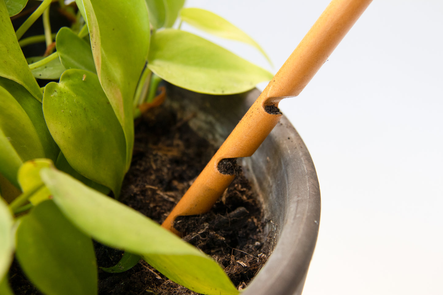 Wooden Soil Moisture Checker