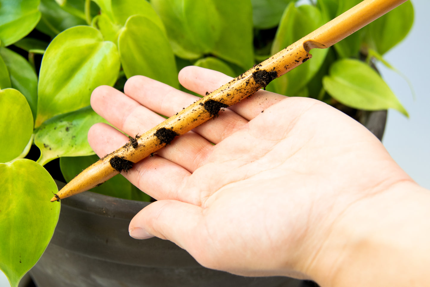 Wooden Soil Moisture Checker