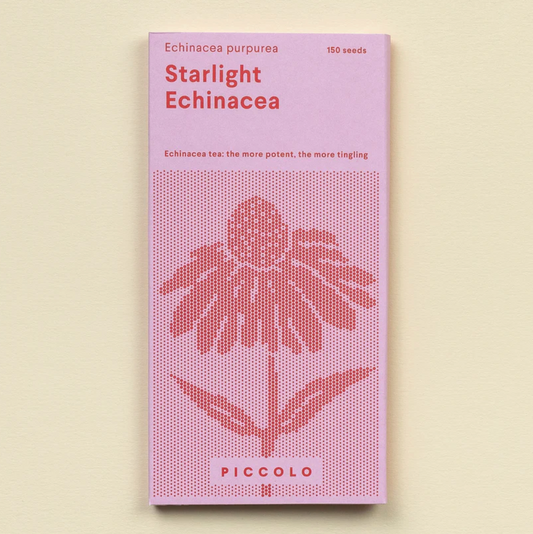 Echinacea Starlight Seeds