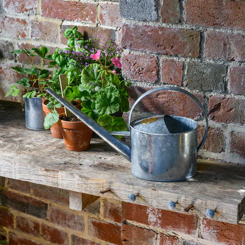 Galvanised Indoor and Green House Can 1.7L