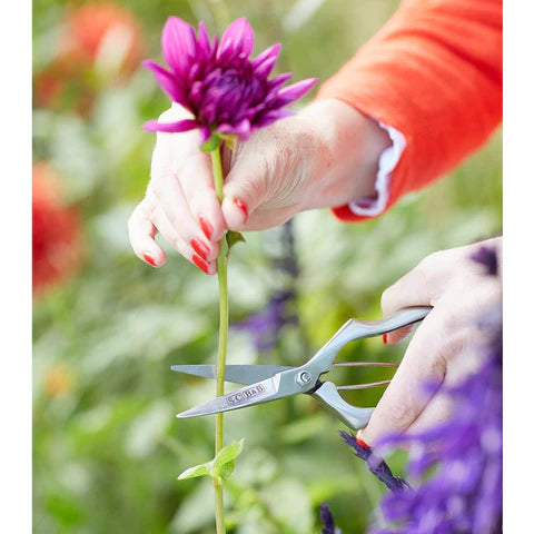 Precision Secateur by Sophie Conran