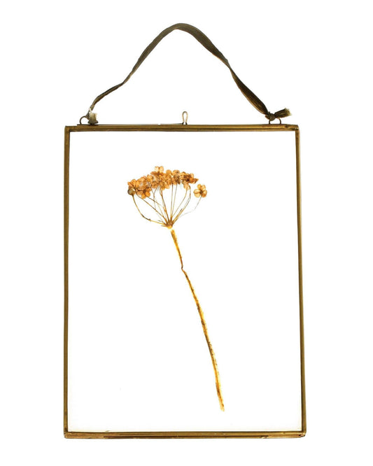 Gold-framed picture with a dried flower on a white background