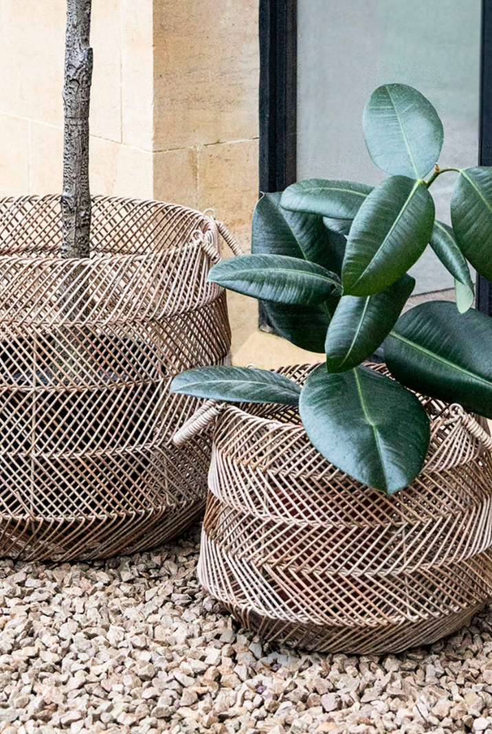 Hilton Woven Basket | Small