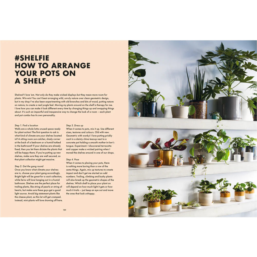 How Not to Kill Your Plants