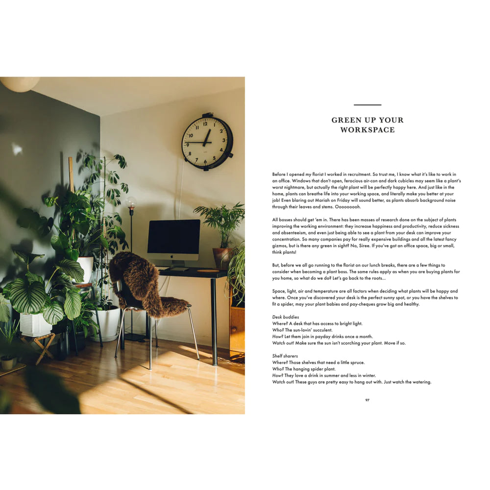 How Not to Kill Your Plants
