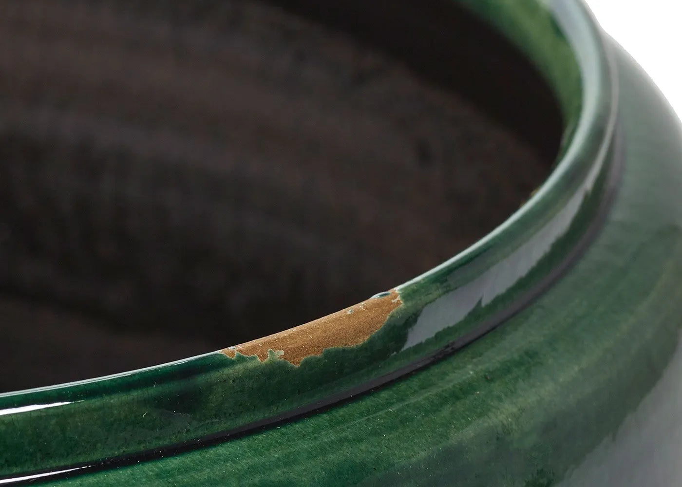 Costa Plant Pot in Green | Small