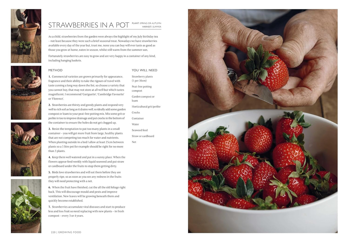 The Gardening Book by Monty Don