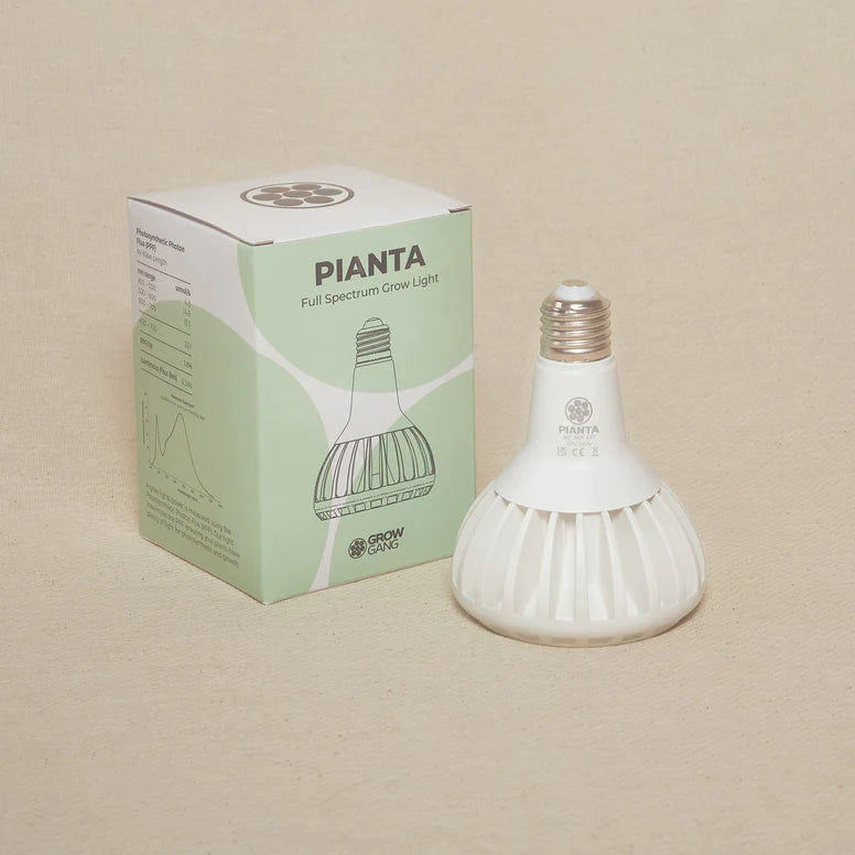 Pianta LED Grow Light Bulb in White
