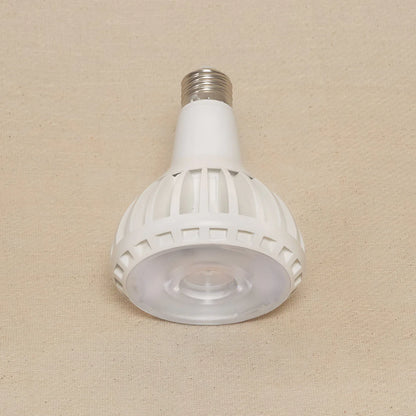 Pianta LED Grow Light Bulb in White