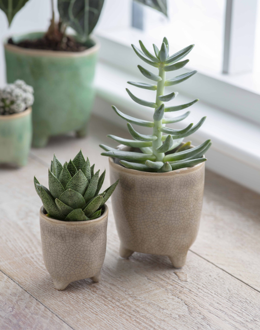 Positano Pot