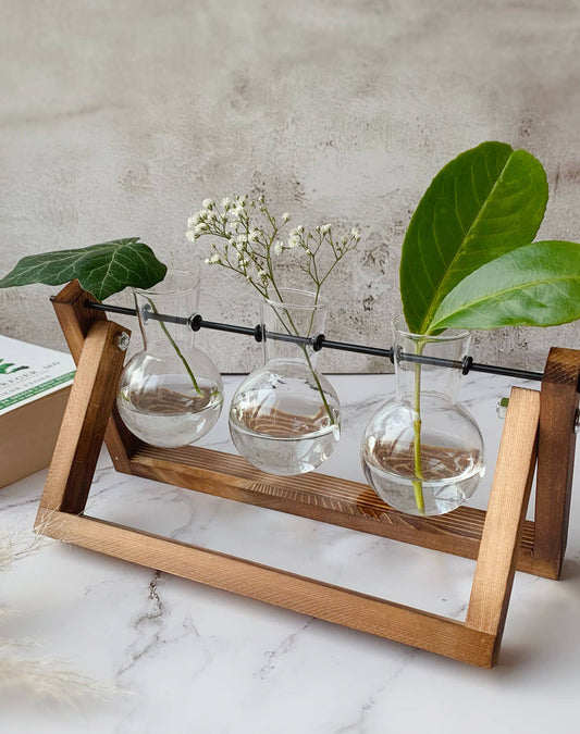 Glass Planter Bulb Vase with Wooden Stand | Triple