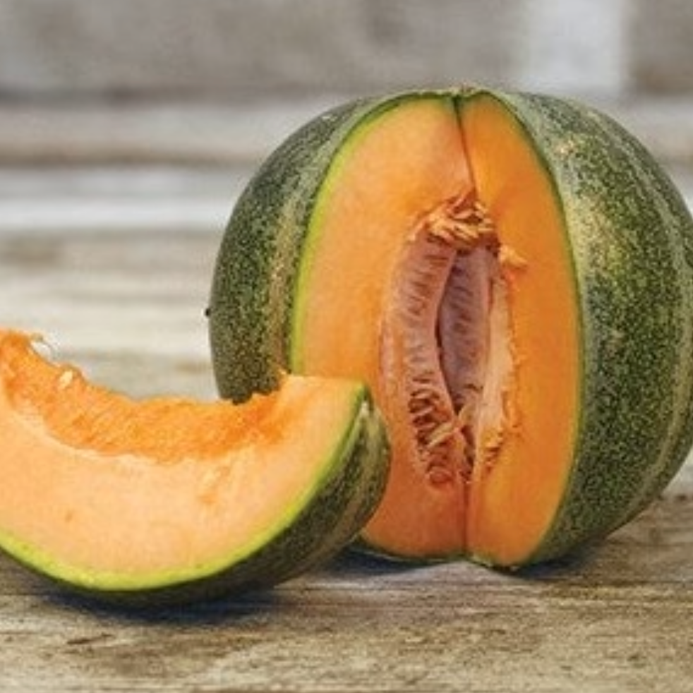 Petit Gris de Rennes Cantaloupe Melon
