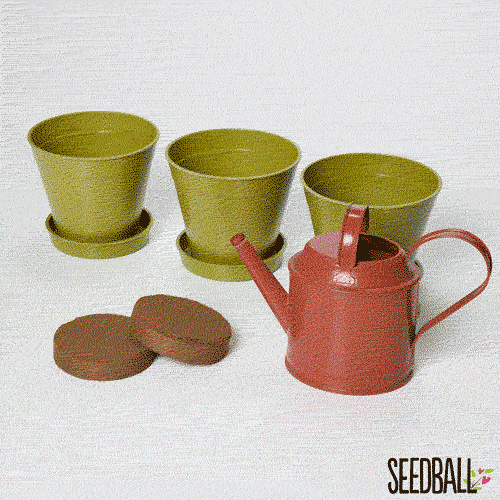 The Every Space Garden Mini-Meadow with 3 biodegradable, compostable bamboo pots and saucers, peat-free coir discs, and 12 wildflower seed balls containing approximately 30 wildlife-friendly wildflower seeds, by Seedball