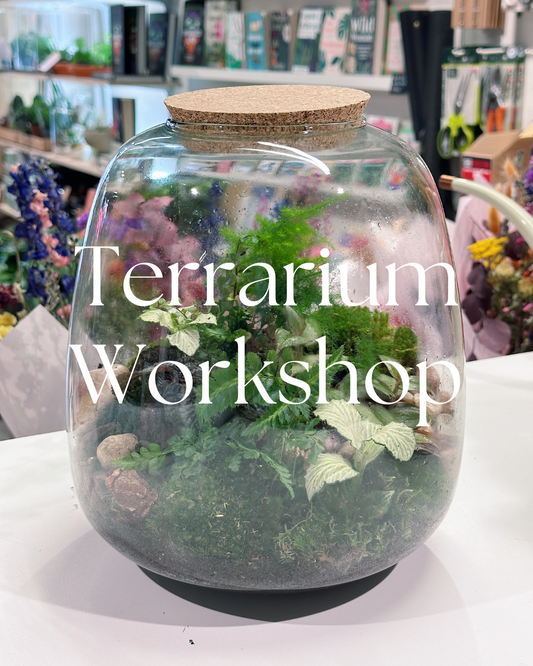 Terrarium Workshop | Thursday 20th November 2025
