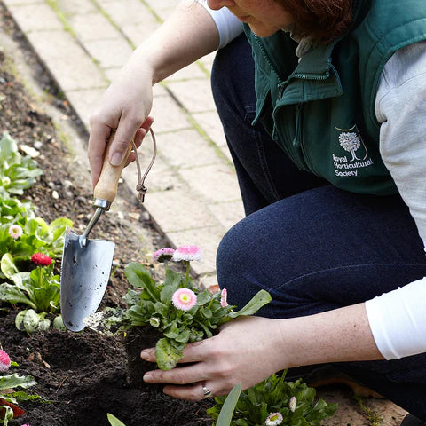 Stainless Hand Trowel | RHS Endorsed