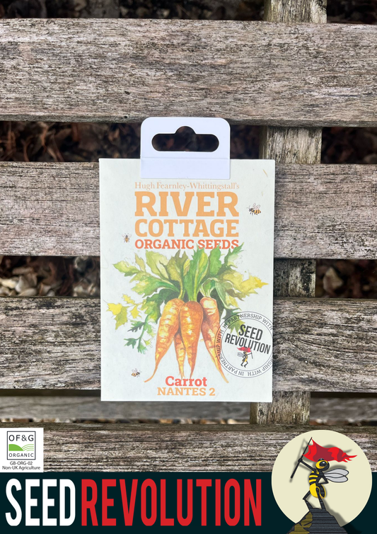 Organic Carrot Nantes 2 Vegetable Seed - River Cottage