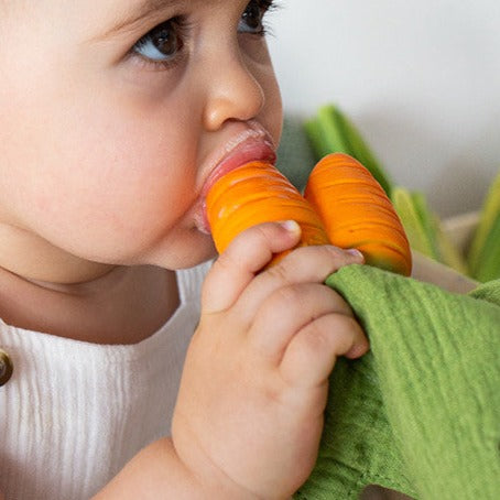 Cathy the Carrot Mini Doudou - Teether
