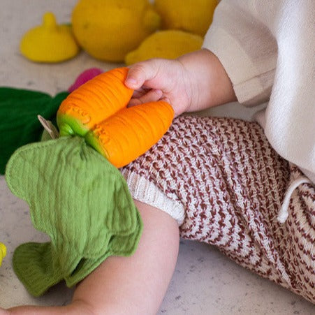 Cathy the Carrot Mini Doudou - Teether