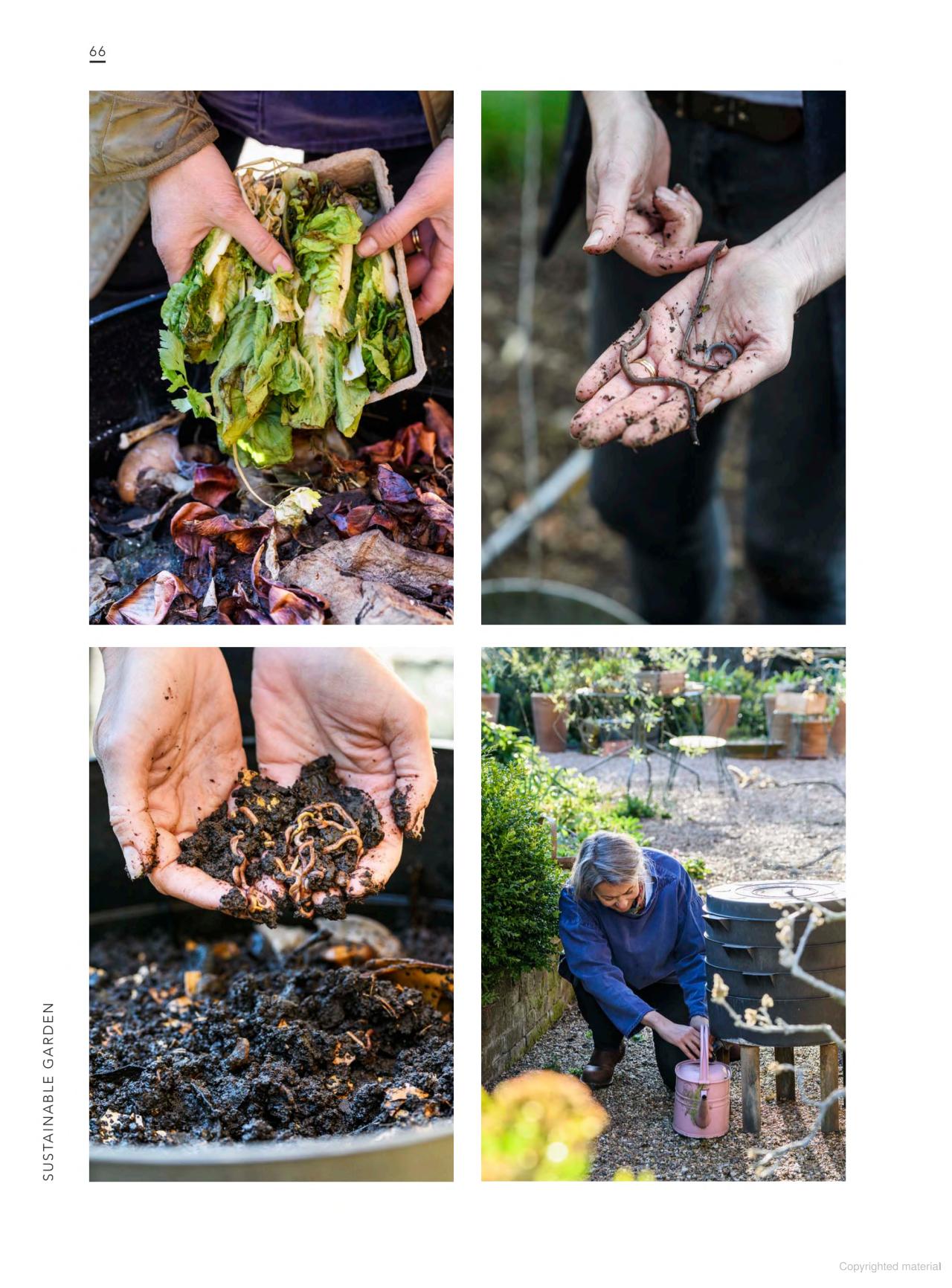 Sustainable Garden: Projects, insights and advice for the eco-conscious gardener