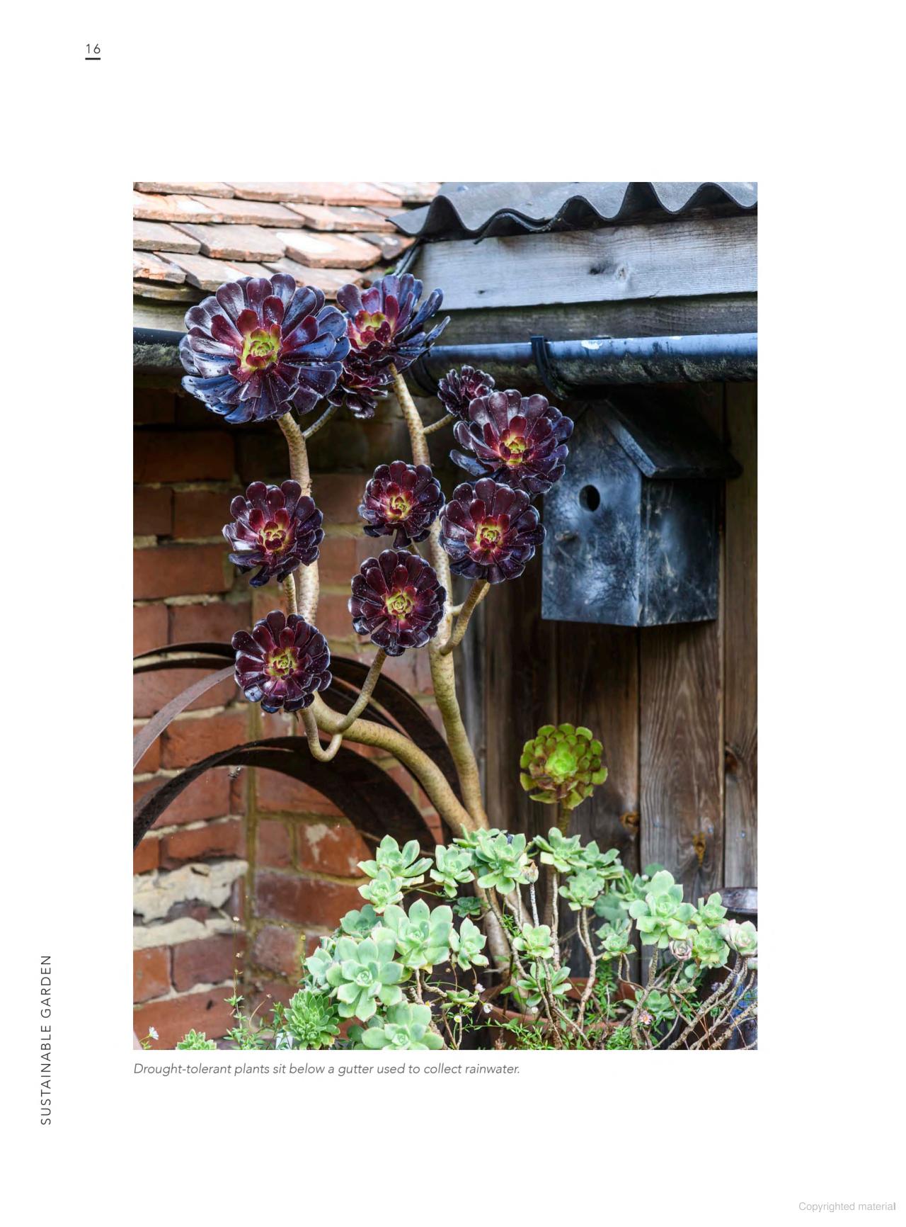Sustainable Garden: Projects, insights and advice for the eco-conscious gardener