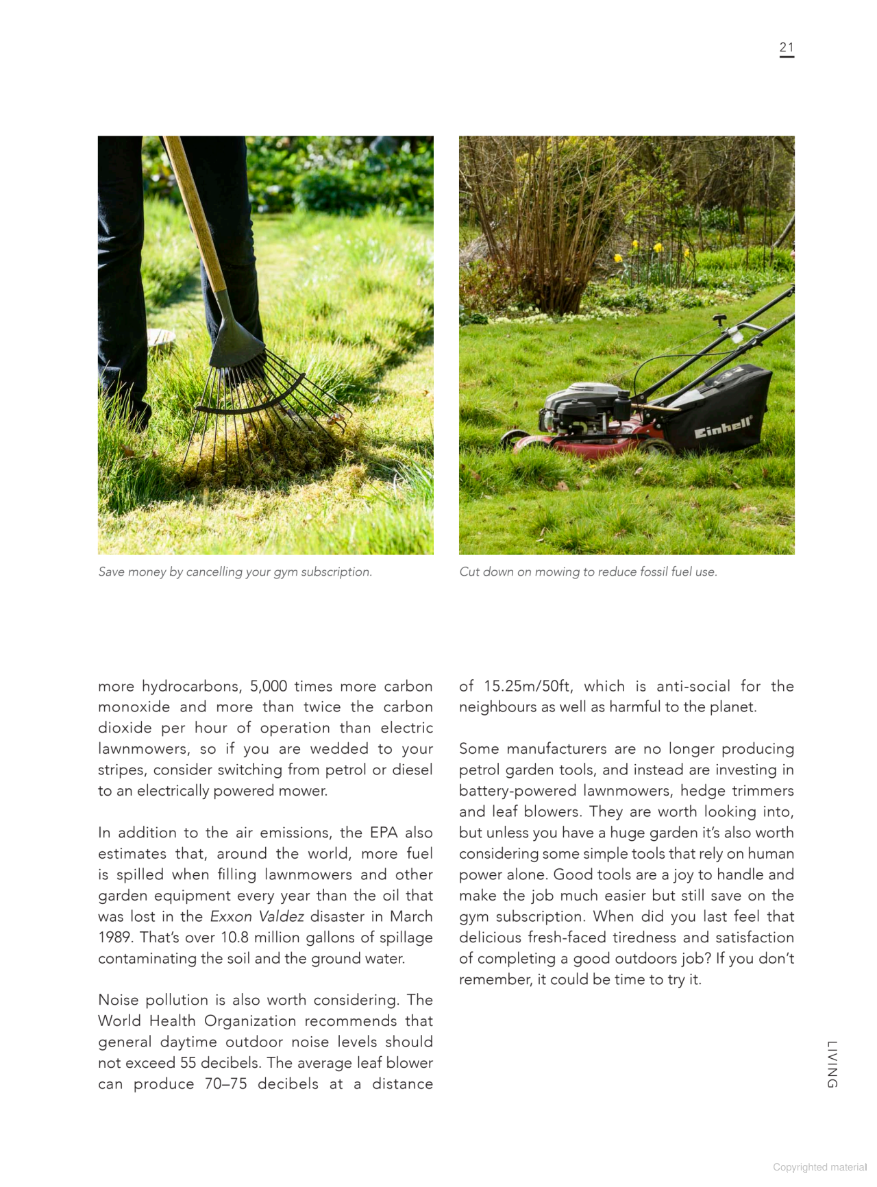 Sustainable Garden: Projects, insights and advice for the eco-conscious gardener