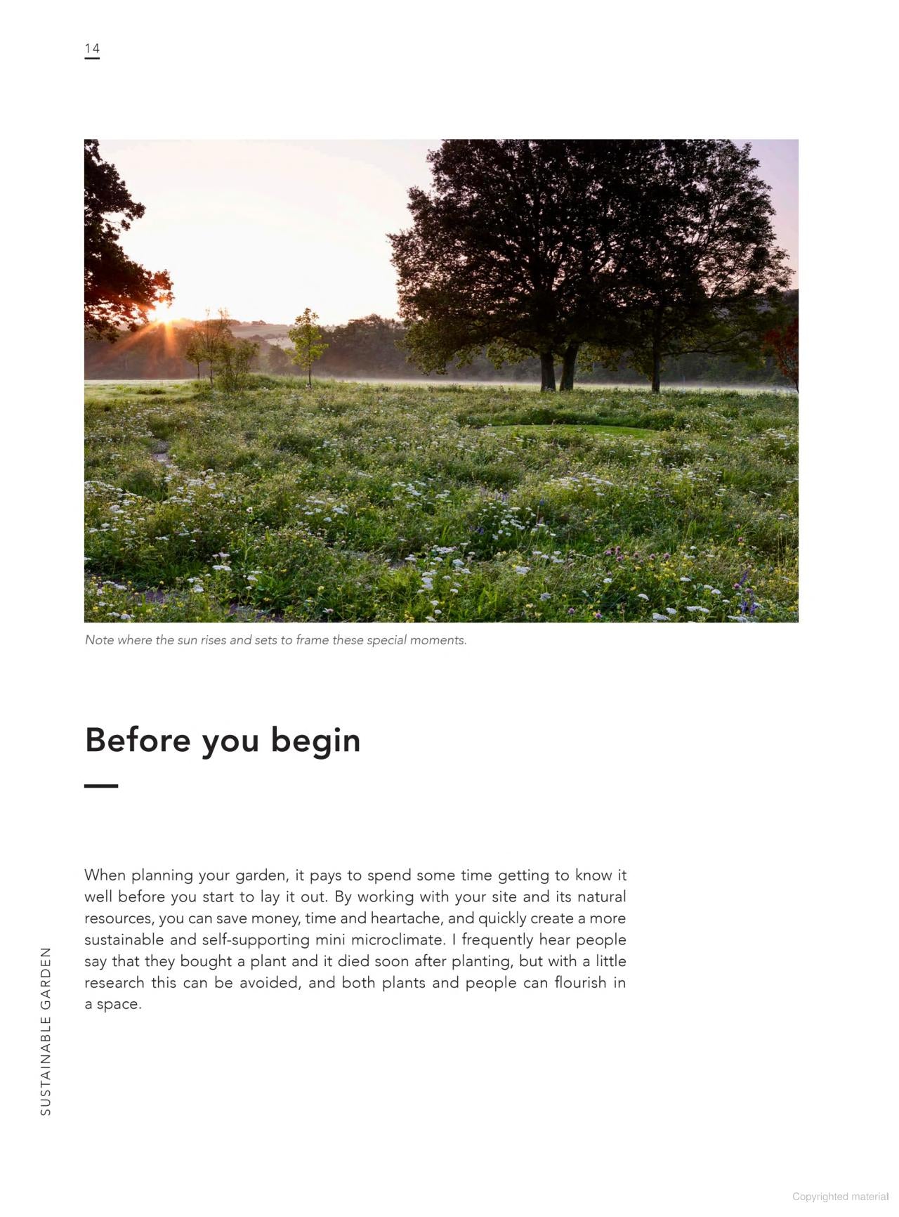 Sustainable Garden: Projects, insights and advice for the eco-conscious gardener