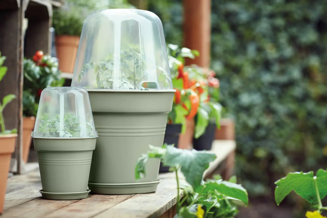 Green Basics Grow Pot | Leaf Green