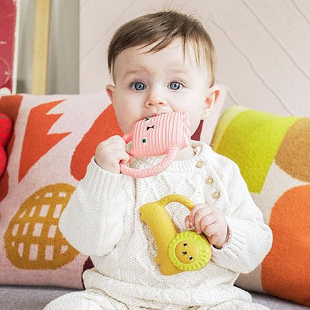 Ginge Cat Chewable Teether