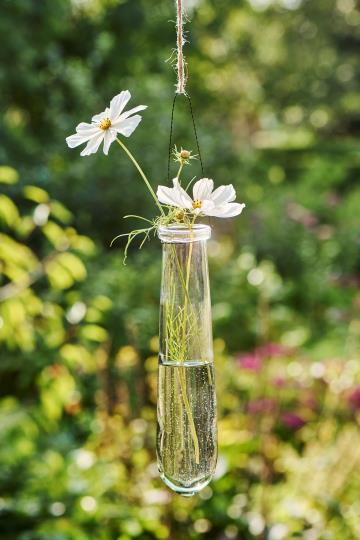 Hanging Glass Vase