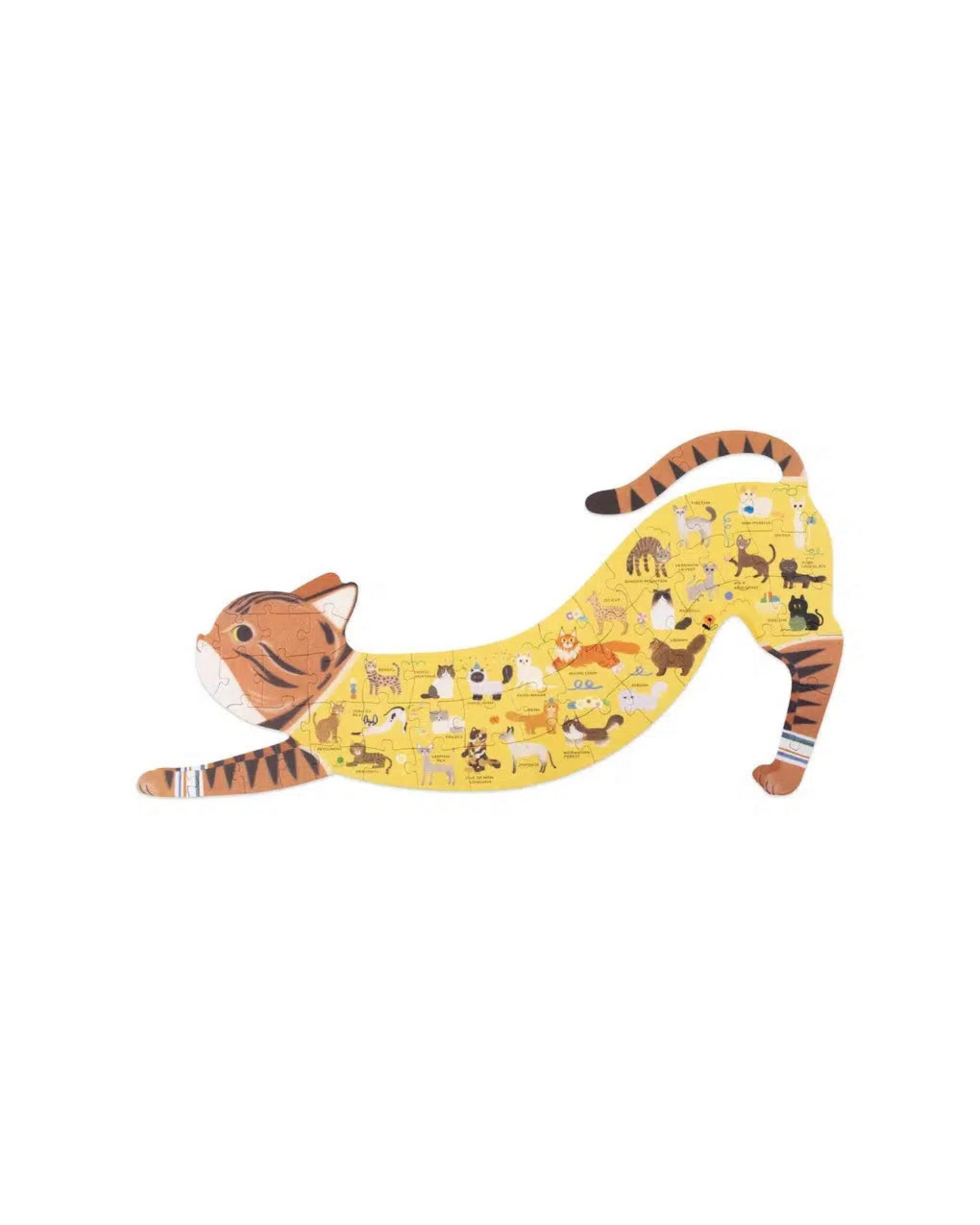 Image of the complete puzzle: a ginger cat stretching with a body made of various other types of cats
