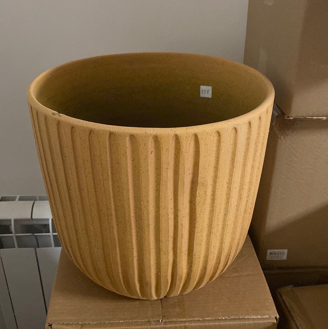Large mustard Plant Pot