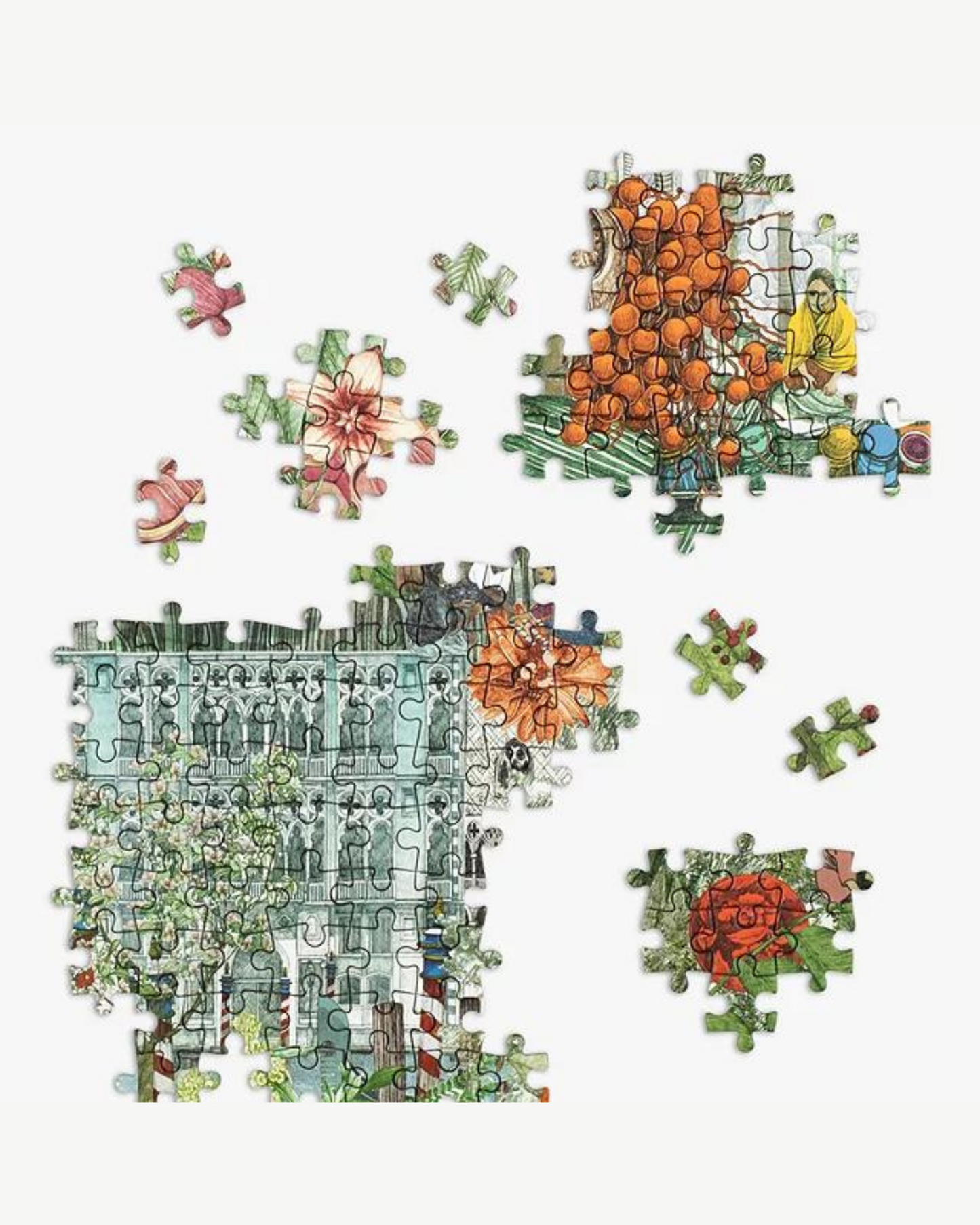 Around the world in 50 trees 1000 piece jigsaw puzzle
