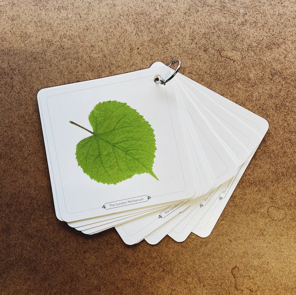 The London Herbarium cards