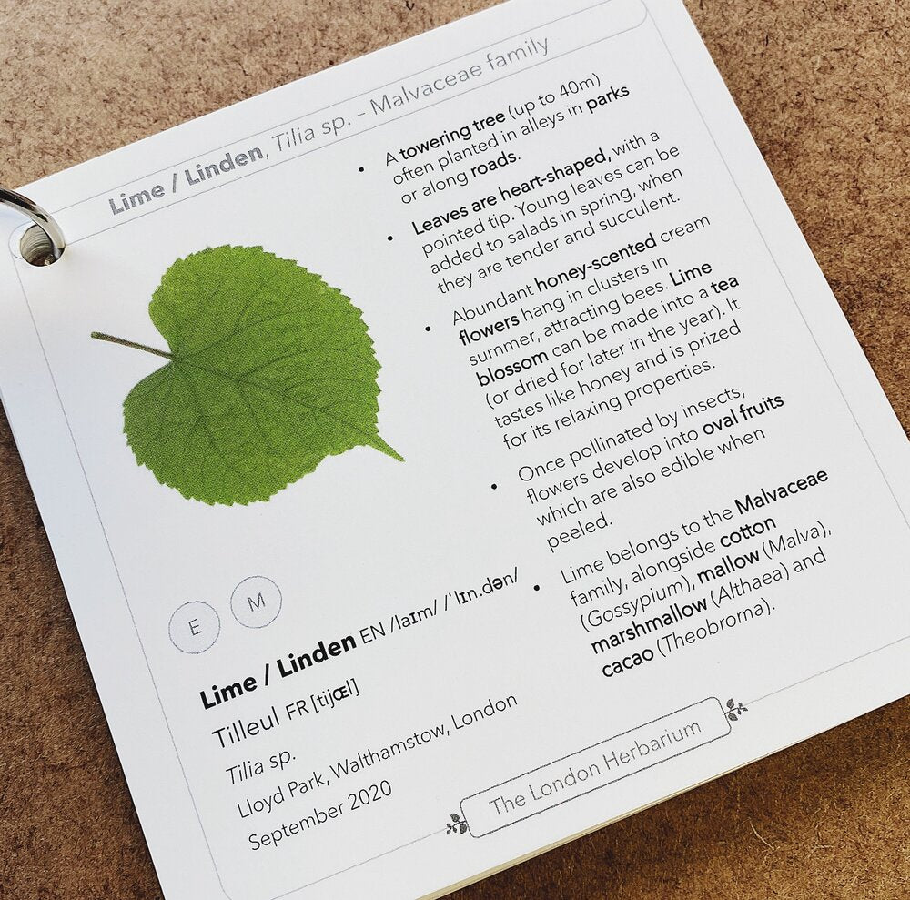 The London Herbarium cards