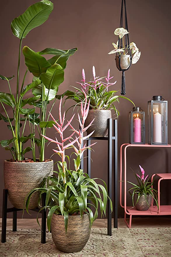 XL Plant Stand in Black Metal