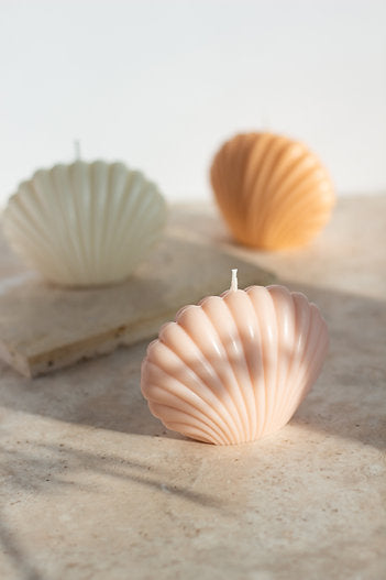 Shell Candles