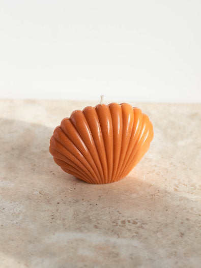 Shell Candles