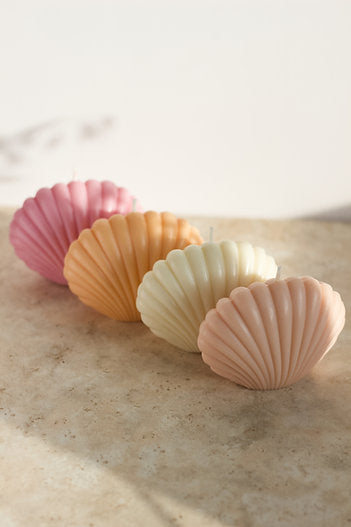 Shell Candles