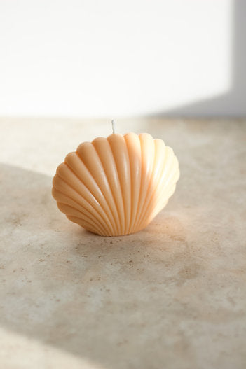 Shell Candles