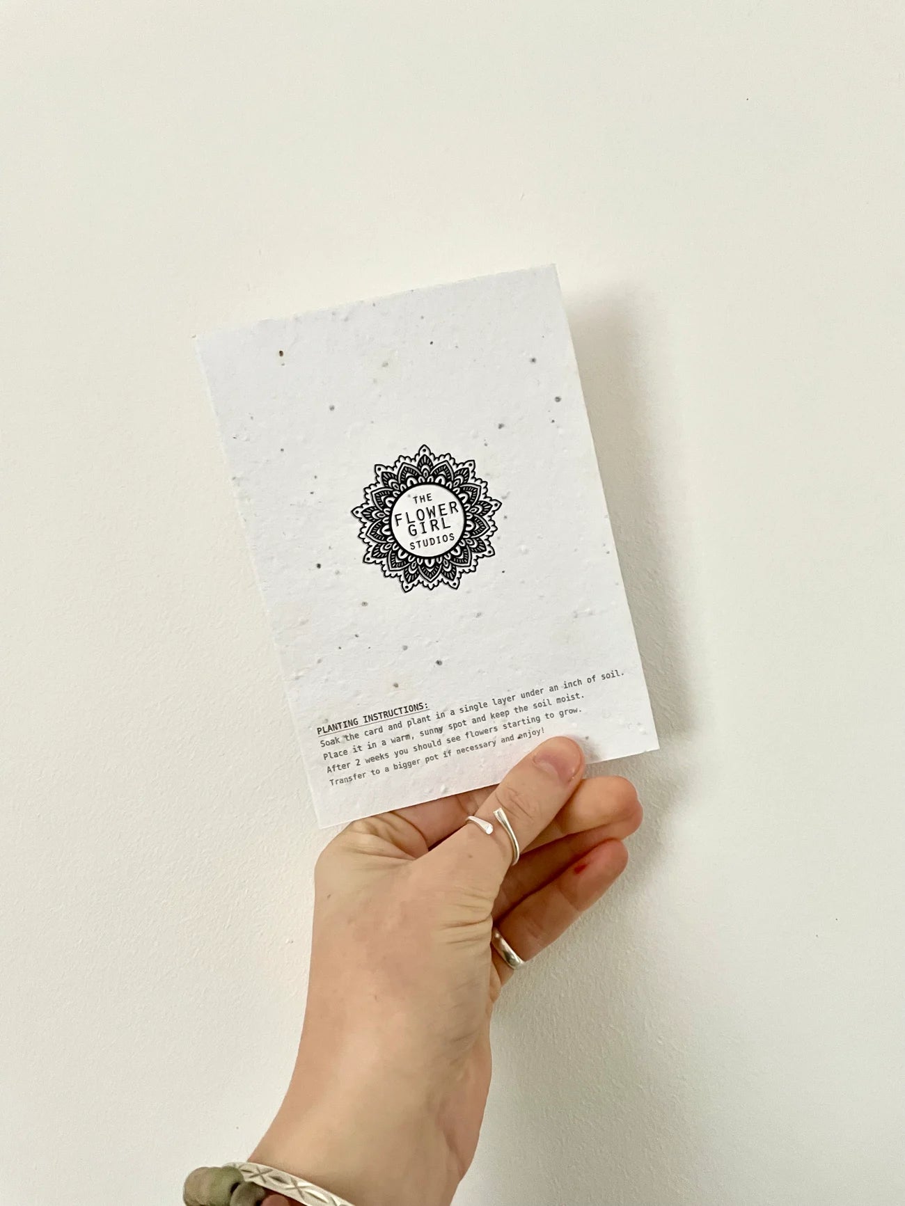 Daffodil Wildflower Seed Card - Plantable Spring Lino Art