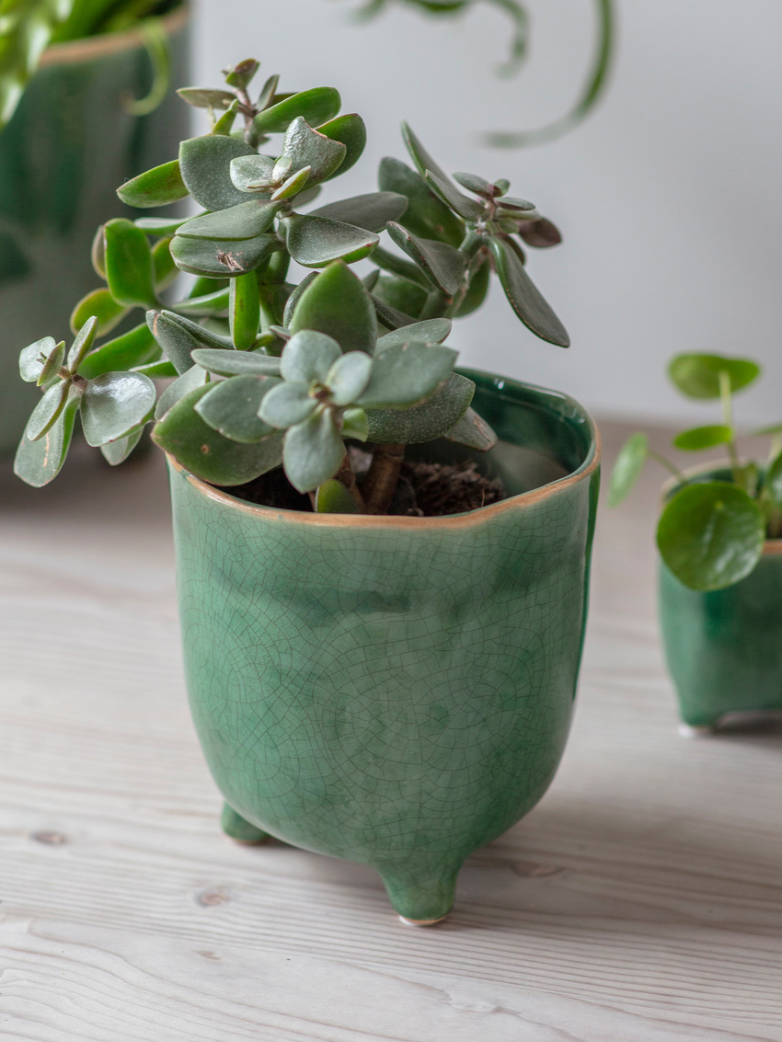 Positano Pot